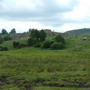Main reserve, wolf and goat enclosures at Highland Wildlife Park 2008