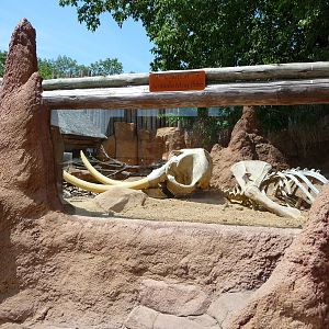 Meerkat Exhibit - Minnesota Zoo
