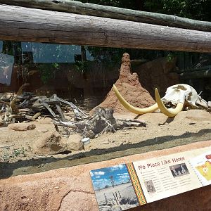Meerkat Exhibit - Minnesota Zoo