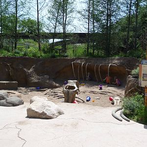 Russia's Grizzly Coast - Minnesota Zoo