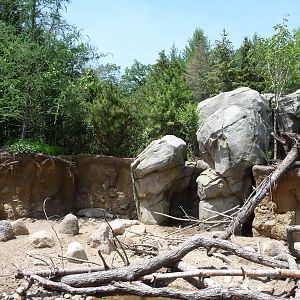 Russia's Grizzly Coast - Minnesota Zoo