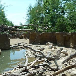 Russia's Grizzly Coast - Minnesota Zoo
