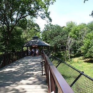 Tiger Exhibit Boardwalk - Minnesota Zoo
