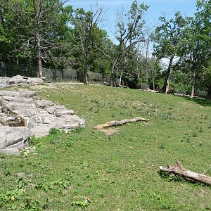 Takin Exhibit - Minnesota Zoo
