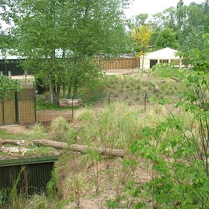 Cheetah enclosures at Chester Zoo June 2008