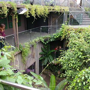 Otago Museum butterfly house