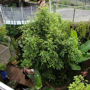 Otago Museum butterfly house