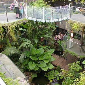 Otago Museum butterfly house