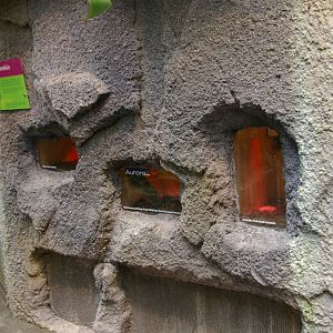 Otago Museum butterfly house