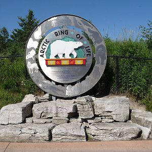 Arctic Ring of Life - Detroit Zoo