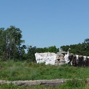 Arctic Ring of Life - Detroit Zoo