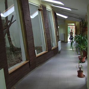 Inside the Asia House @ Szeged Zoo, Hungary