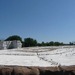 Arctic Ring of Life - Detroit Zoo