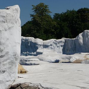 Arctic Ring of Life - Detroit Zoo
