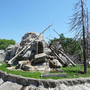 Japanese Macaque Exhibit - Detroit Zoo