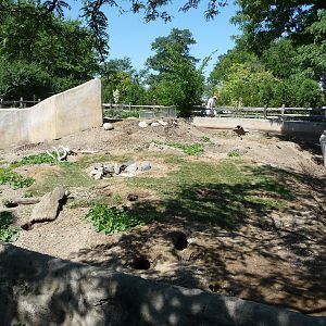 Prairie Dog Exhibit - Detroit Zoo