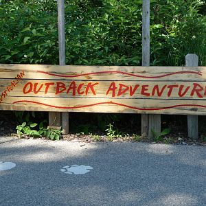 Red Kangaroo Exhibit - Detroit Zoo