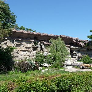 Grizzly Bear Exhibit - Detroit Zoo