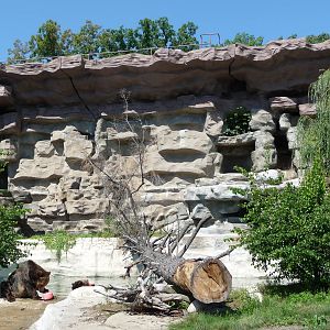 Grizzly Bear Exhibit - Detroit Zoo
