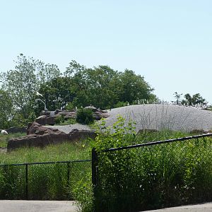 Arctic Ring of Life - Detroit Zoo