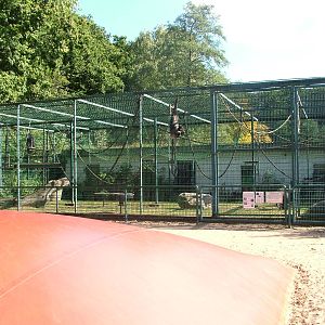 Chimp enclosure at Tierpark Gettorf 2007
