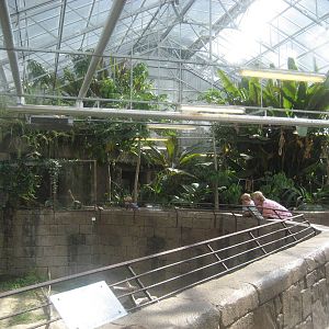 Amazoonas - Parken Zoo