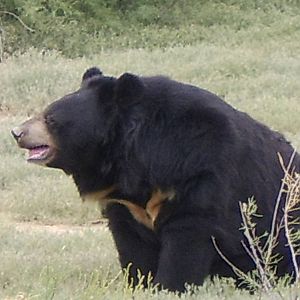 Reserve Africaine Sigean Southern France