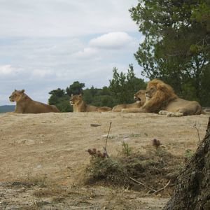 Reserve Africaine Sigean Southern France