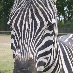 Reserve Africaine Sigean Southern France