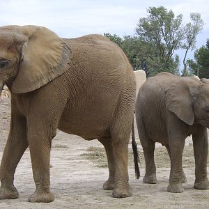 Reserve Africaine Sigean Southern France