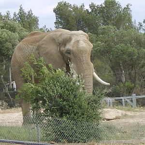 Reserve Africaine Sigean Southern France