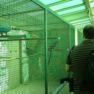 Behind the Scenes: Parrot House at Walsrode 2007