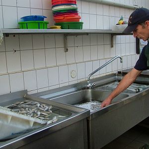 Days supply of fish at Walsrode 2007