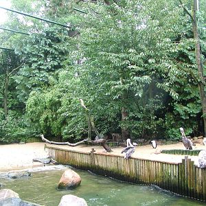 Coastal birds aviary at Walsrode 2007