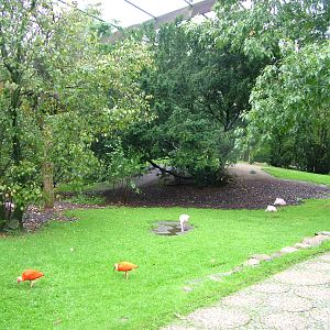 Walk-through aviary at Walsrode 2007