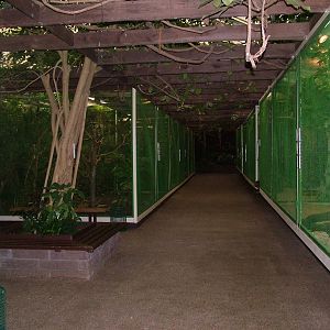 Bird House interior at Walsrode 2007