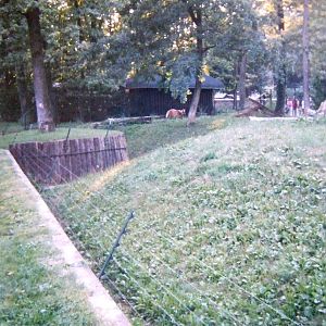 Maned wolf enclosure @ Zagreb Zoo, Croatia