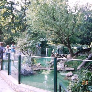 Oriental small-clawed otter exhibit @ Zagreb Zoo, Croatia