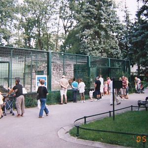 Big cat facilities @ Zagreb Zoo, Croatia