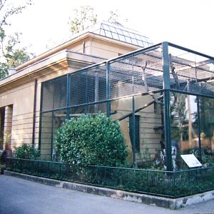 Monkey House, Diana monkey exhibit @ Zagreb Zoo, Croatia