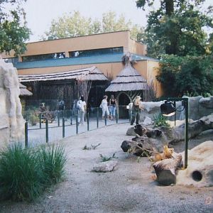 Meerkat exhibit @ Zagreb Zoo, Croatia