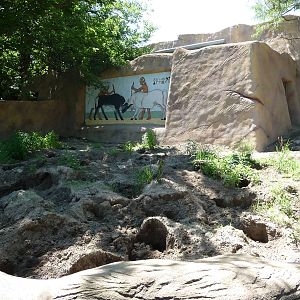 Aardvark Exhibit - Detroit Zoo