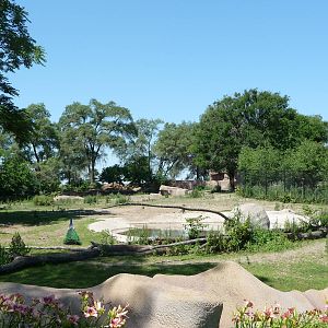 Zebra Exhibit - Detroit Zoo