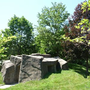 Red Panda Exhibit - Detroit Zoo