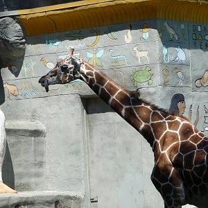 Giraffe's tongue - Detroit Zoo
