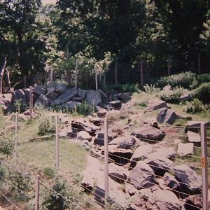 Japanese serow enclosure @ Vienna Zoo
