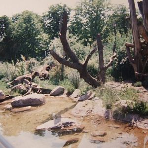 Giant panda enclosure @ Vienna Zoo