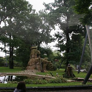 Condor aviary  - Berlin July 08