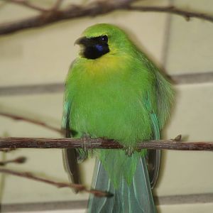 - Berlin Tierpark July 08