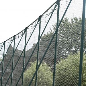 Vulture aviary- Berlin Tierpark July 08